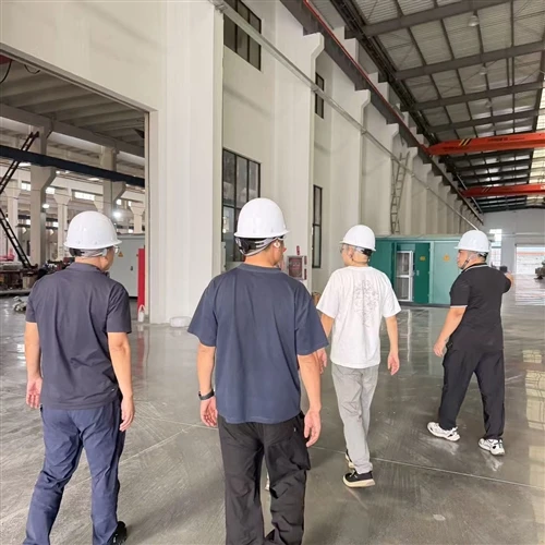 Customers Visit Our Factory For In-depth Discussion On Dry-Type Transformer C...
